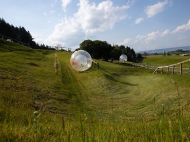 Zorb
